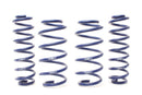 H&R 19-25 Toyota RAV4 (not Incl. Hybrid) Adventure Raising Spring